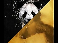 Desiigner vs. Rub-down burnish apply way burnish apply ball bounces - Panda Give away Deficient renounce by oneself (JLENS Edit)